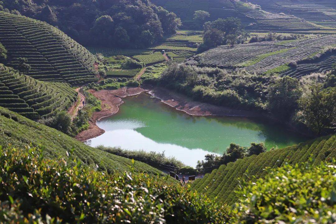 秋意渐染的龙坞茶镇像一首悠然的散文诗