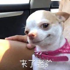 乔西|皮克斯《夏日友晴天》定档;正午新剧《乔家的儿女》定档