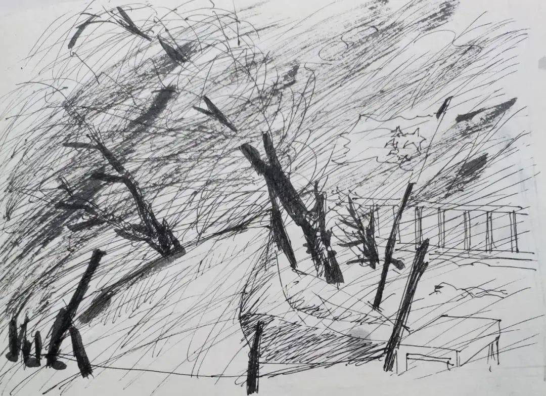 抗疫她力量守边女人的故事