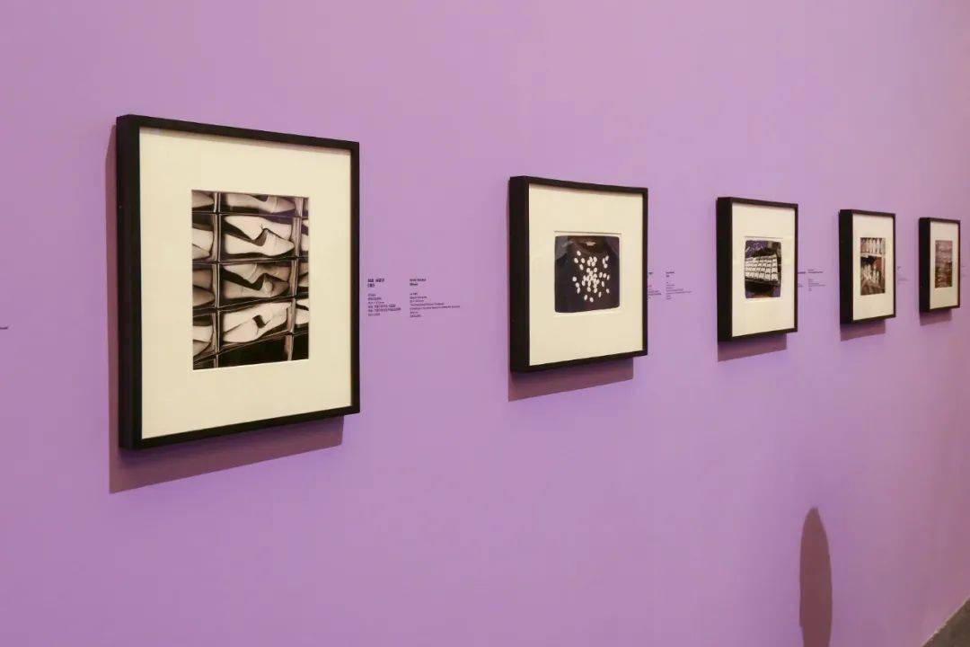 带你看展(25):成为安迪·沃霍尔(becoming andy warhol)_展览