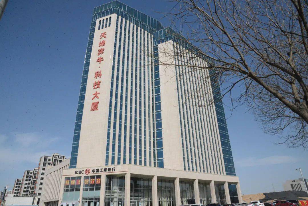 天地奔牛招聘公告