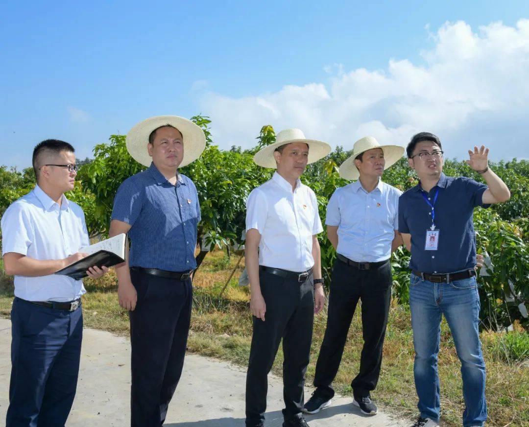 记住乡愁 仁和区委书记履新后聚焦这些事_班宏