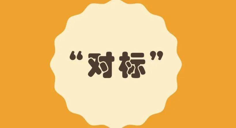 国有企业核心竞争力对标体系的探索对标挖潜