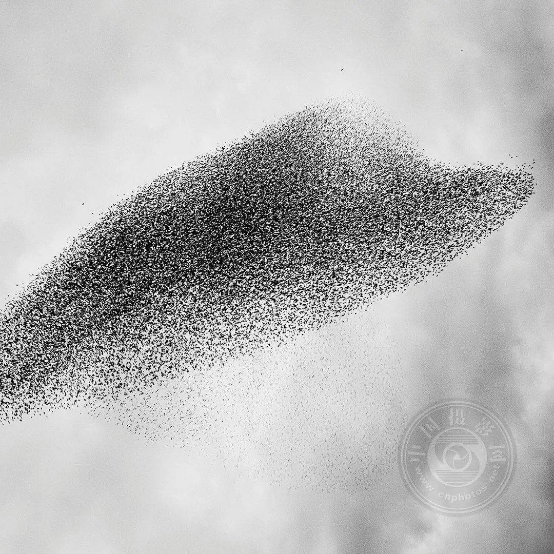 作品|获奖公布 | 2021第三届极简主义摄影奖（年度摄影师）作品揭晓