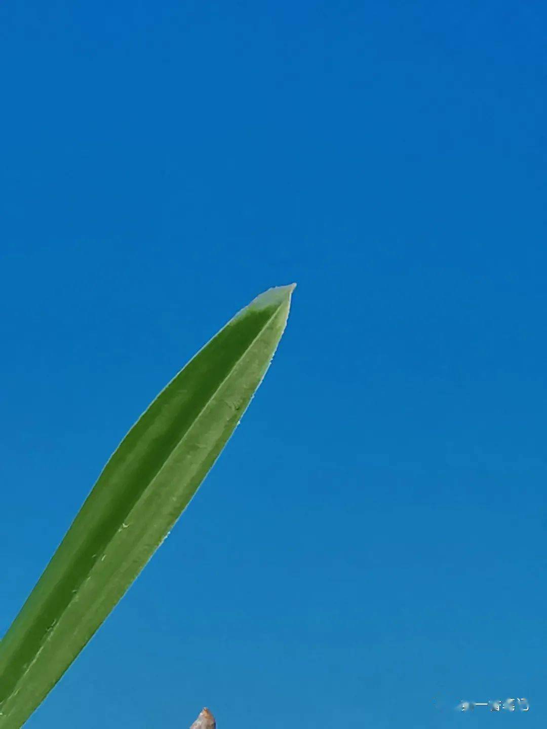 7a7901dcd0cb43d1bedac7faa31bb5e6.jpeg