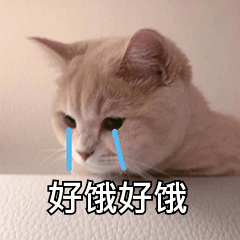 c228e50b68f3454fa7c5a9e71b26fdbe.png