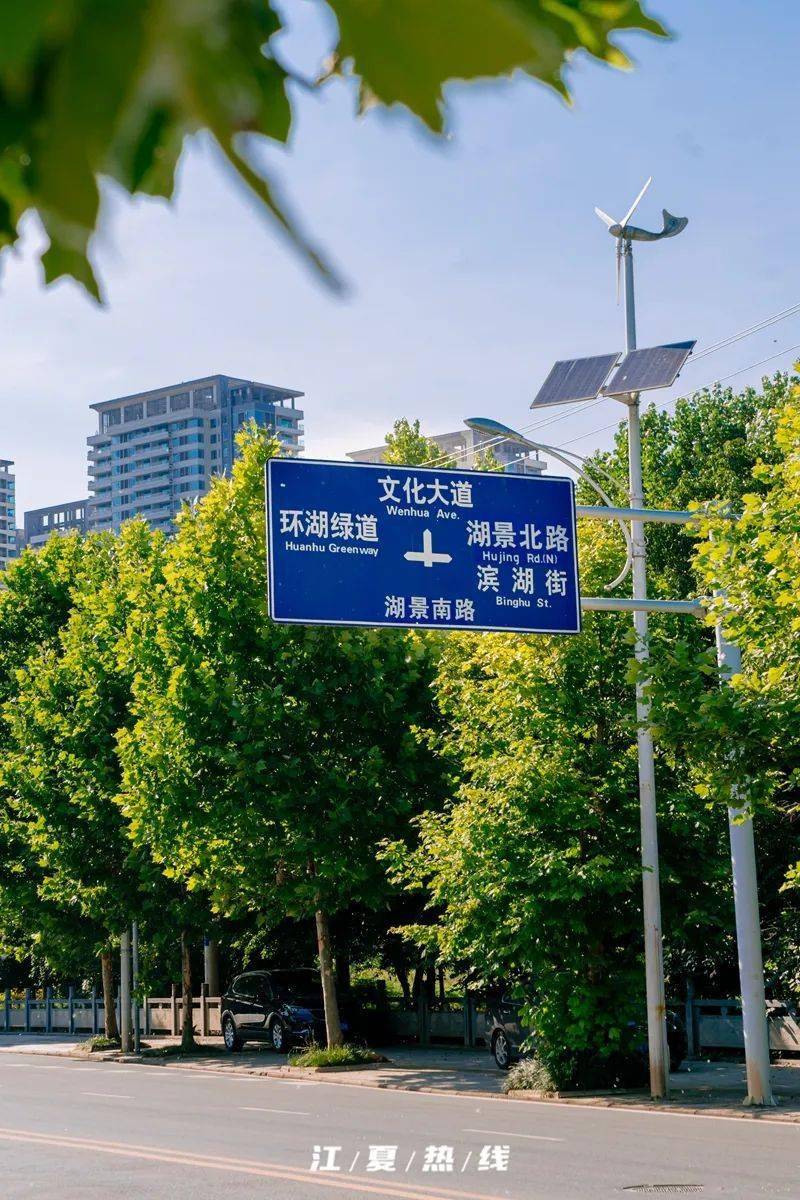 湯遜湖壹號溼地公園,藏龍島國家溼地公園. 以水為伴,與大自然更