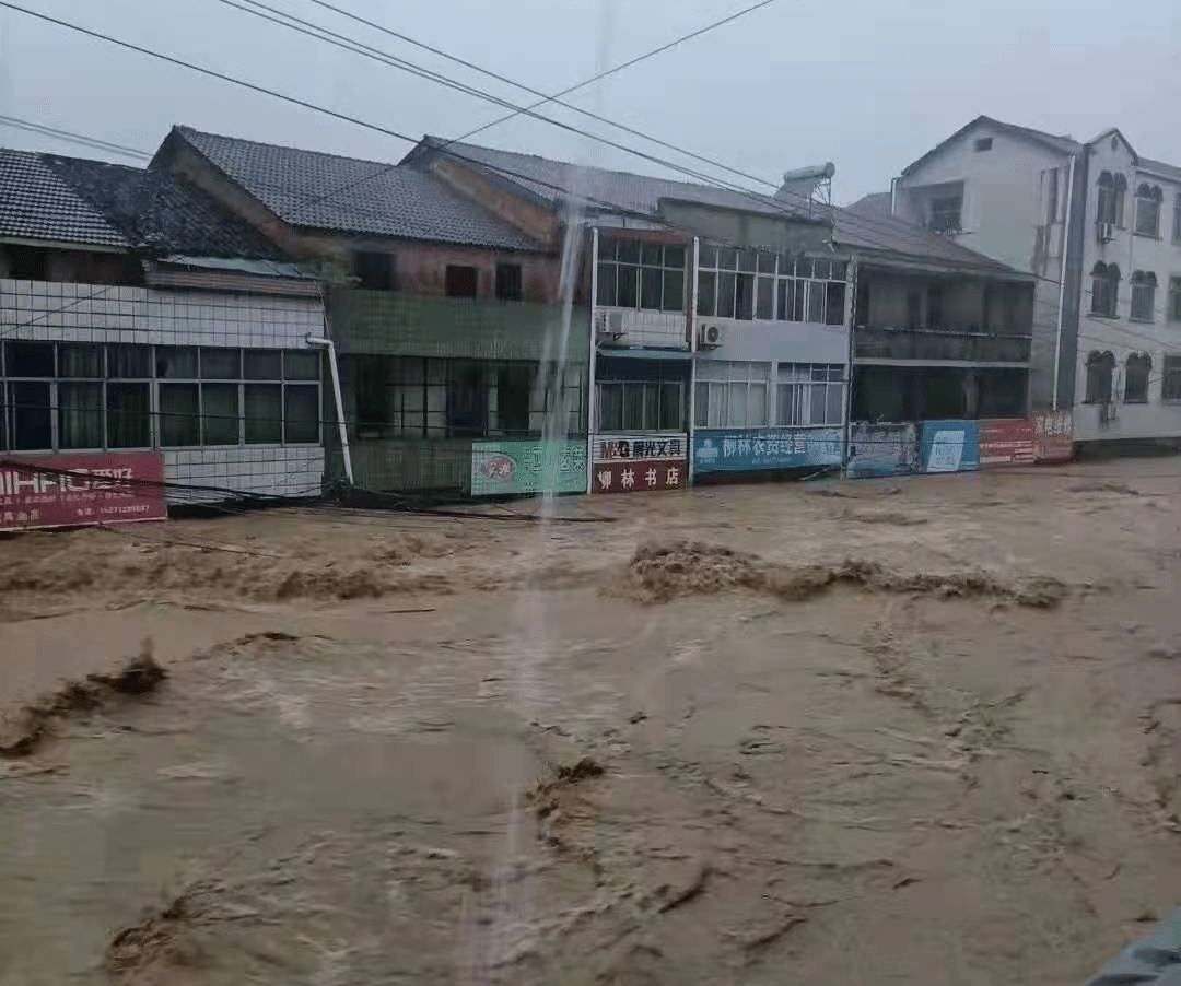 随州柳林镇洪水图片