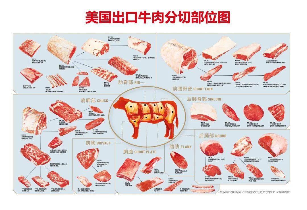 cuts and features of american beef美国牛肉的分割部位图和特征