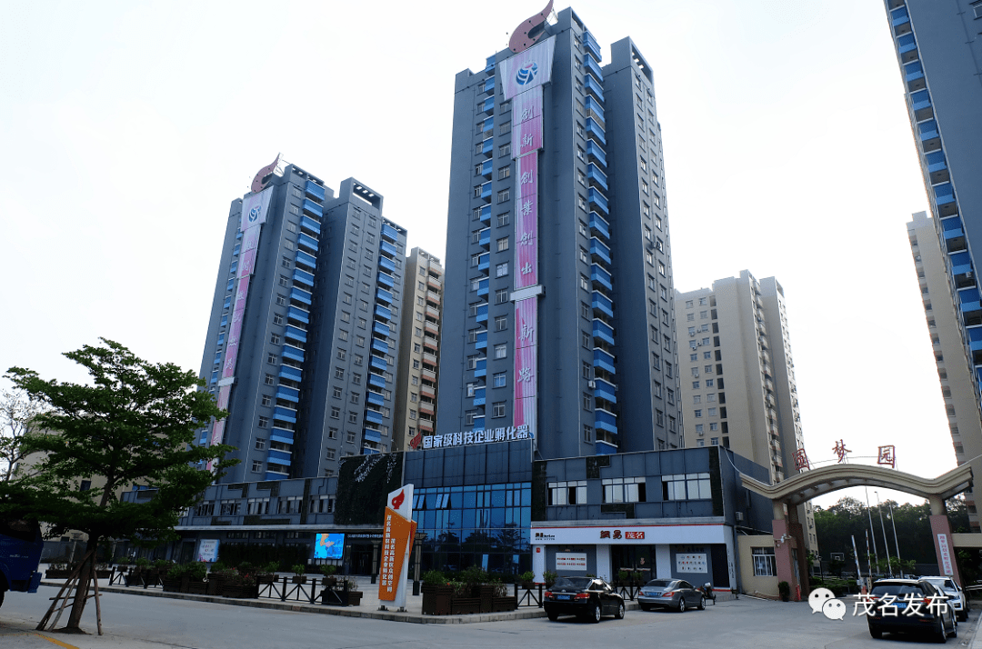 点燃科技创新引擎为茂名经济发展提供强力支撑