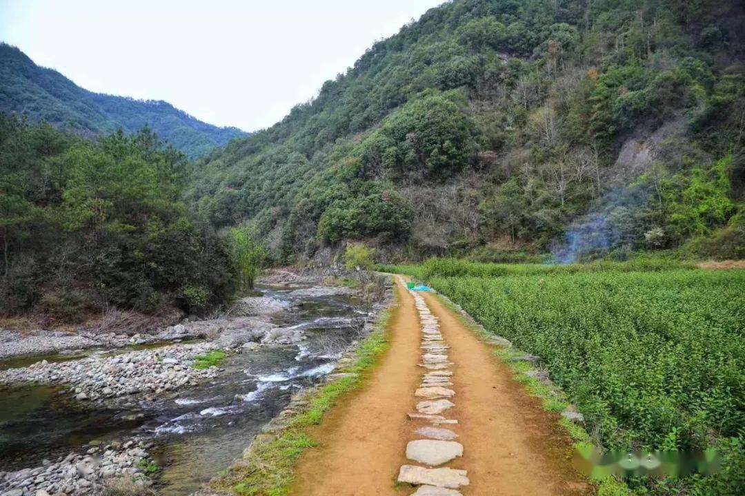 旅行團建·新昌|徒步絕美安山古道,十九峰重溫玻璃棧道 胡巴巴探索星