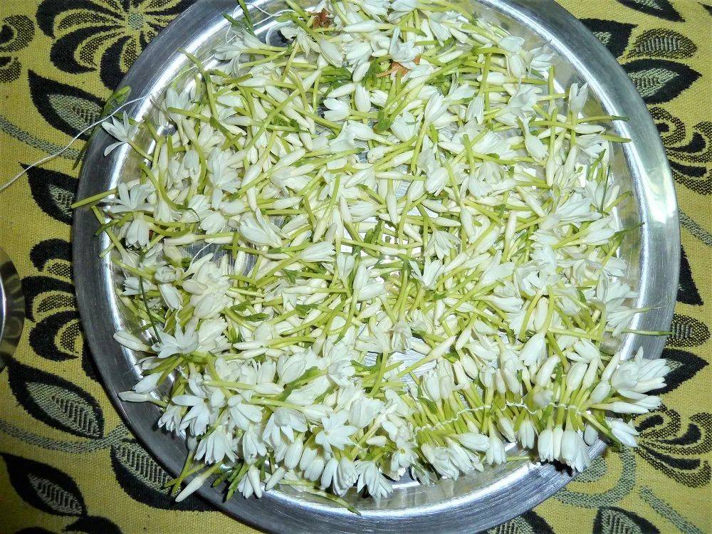 古代|染指甲、洗头发、坐花艇，传统七夕的草木之味