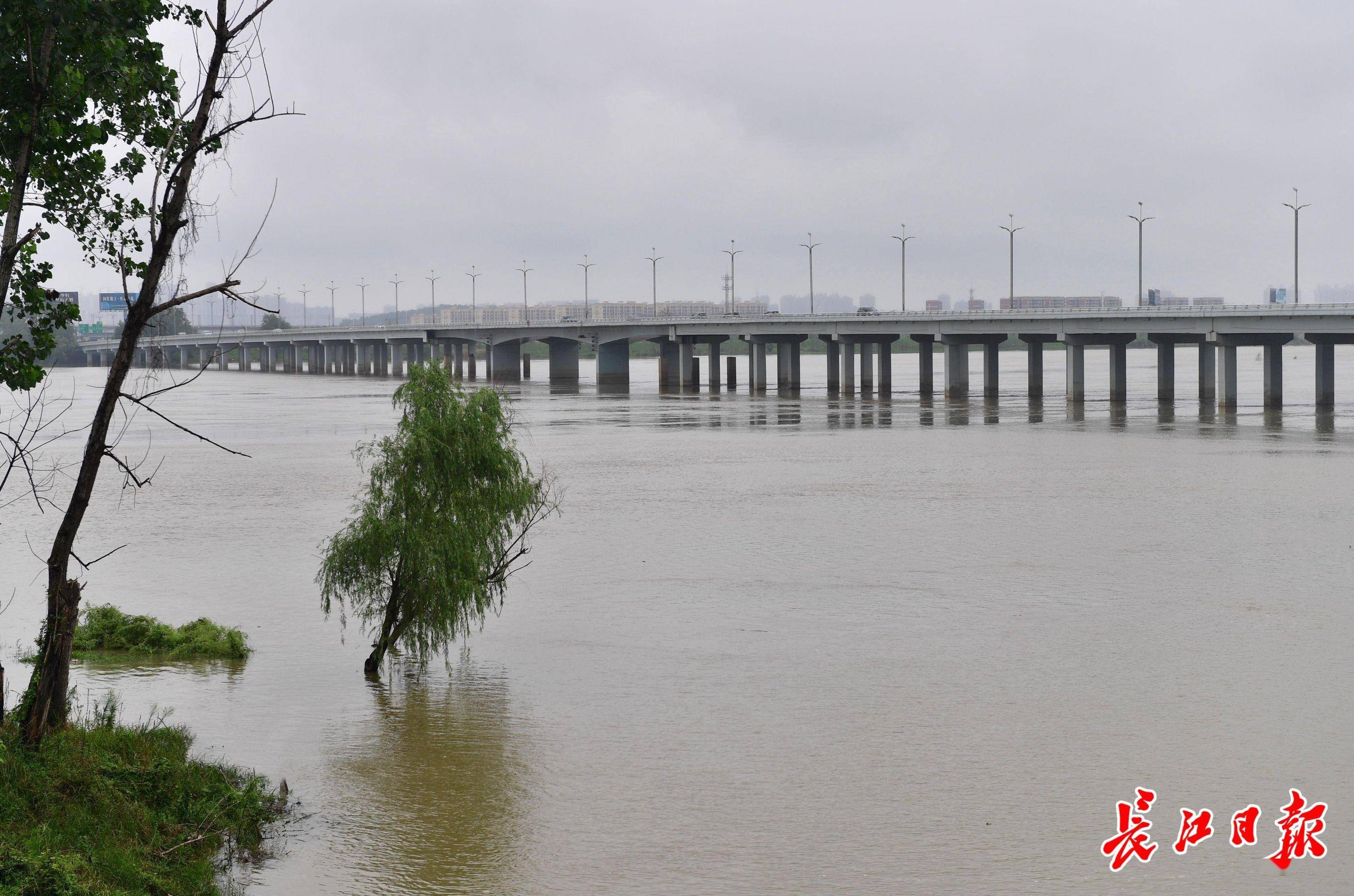 府河东西湖大堤上,一处