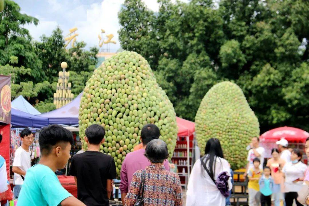 一颗芒果背后的故事元江持续做好一县一业芒果产业纪实