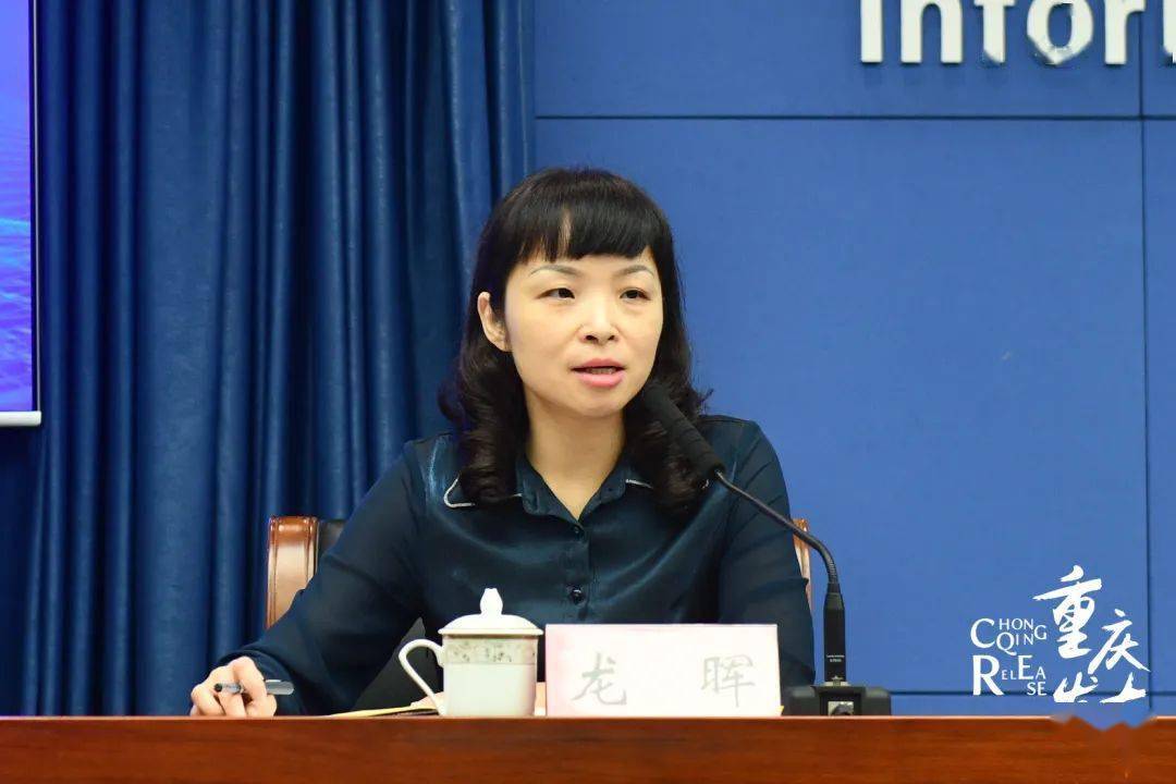 龙晖介绍相关情况 邹乐 摄