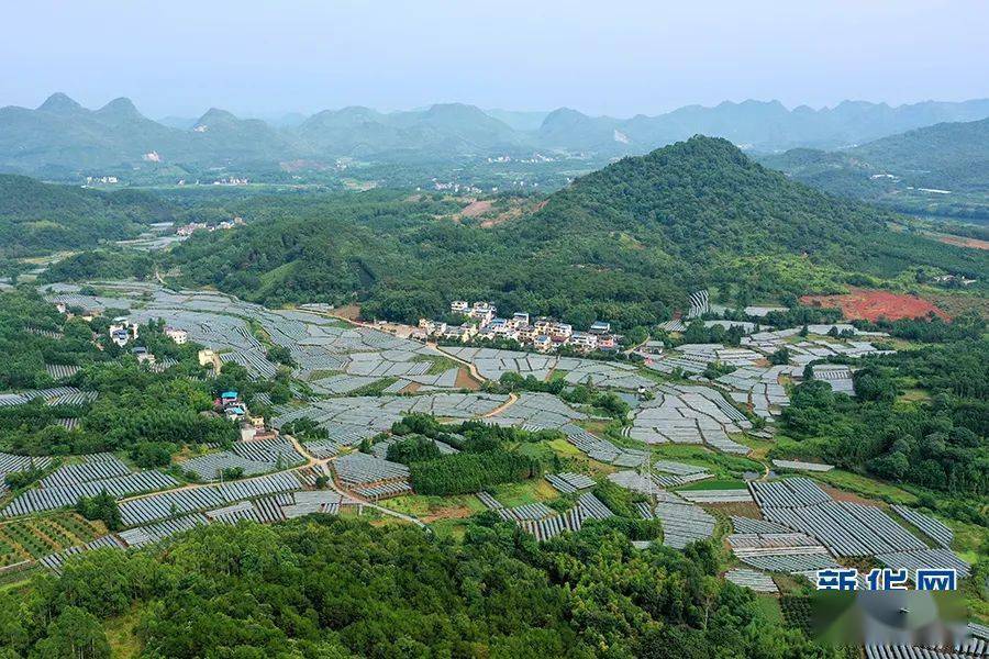 《"走进乡村看小康"直播特别节目》报道了桂林市全州县才湾镇毛竹山村