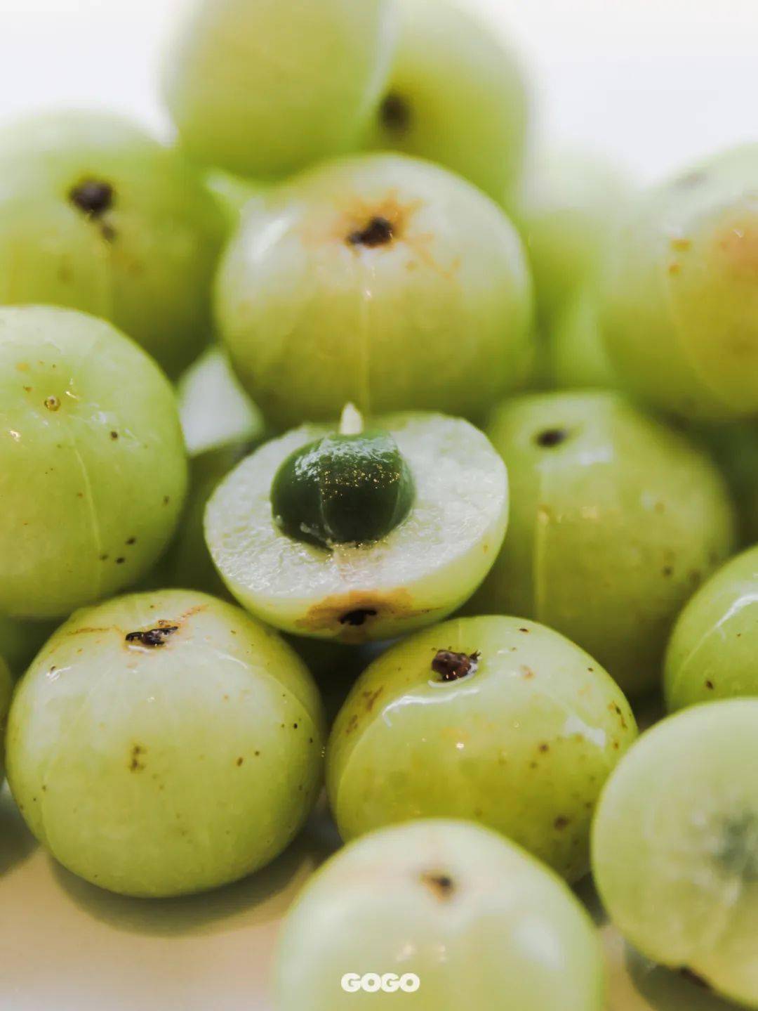 一身小众 | 高颜值 | 珍贵出场就自带主角光环奈雪霸气玉油柑再添新cp