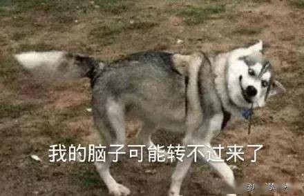 中国吸毒有多少人口_台星大炳因肺炎去世得年37岁 曾因吸毒四次被捕