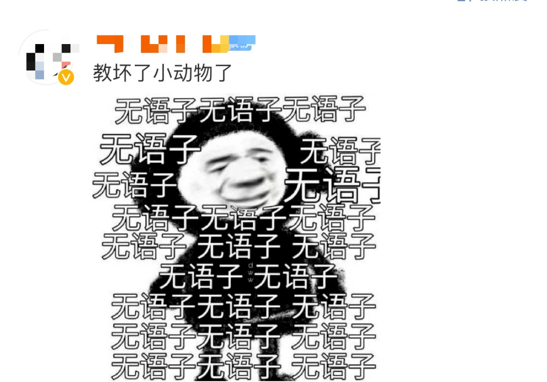 随心所欲的简谱_罗琦随心所欲简谱(2)