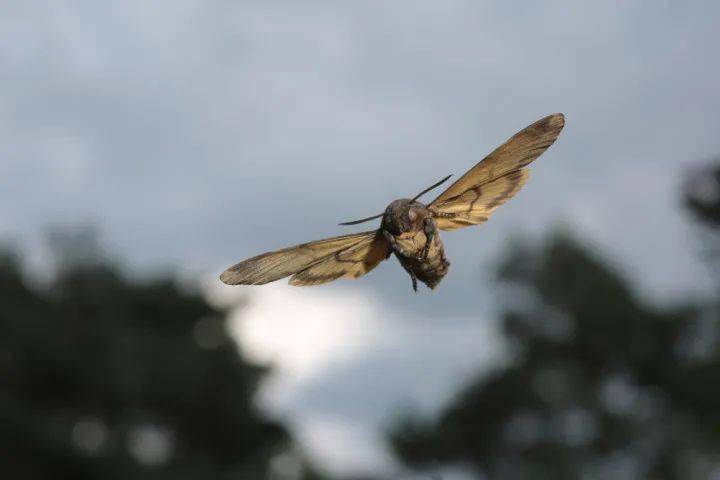 凯瑟琳|够了！别再只用“悬疑”来定义它！