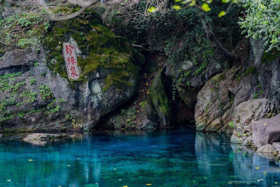 vr云游珍珠泉,绝美!