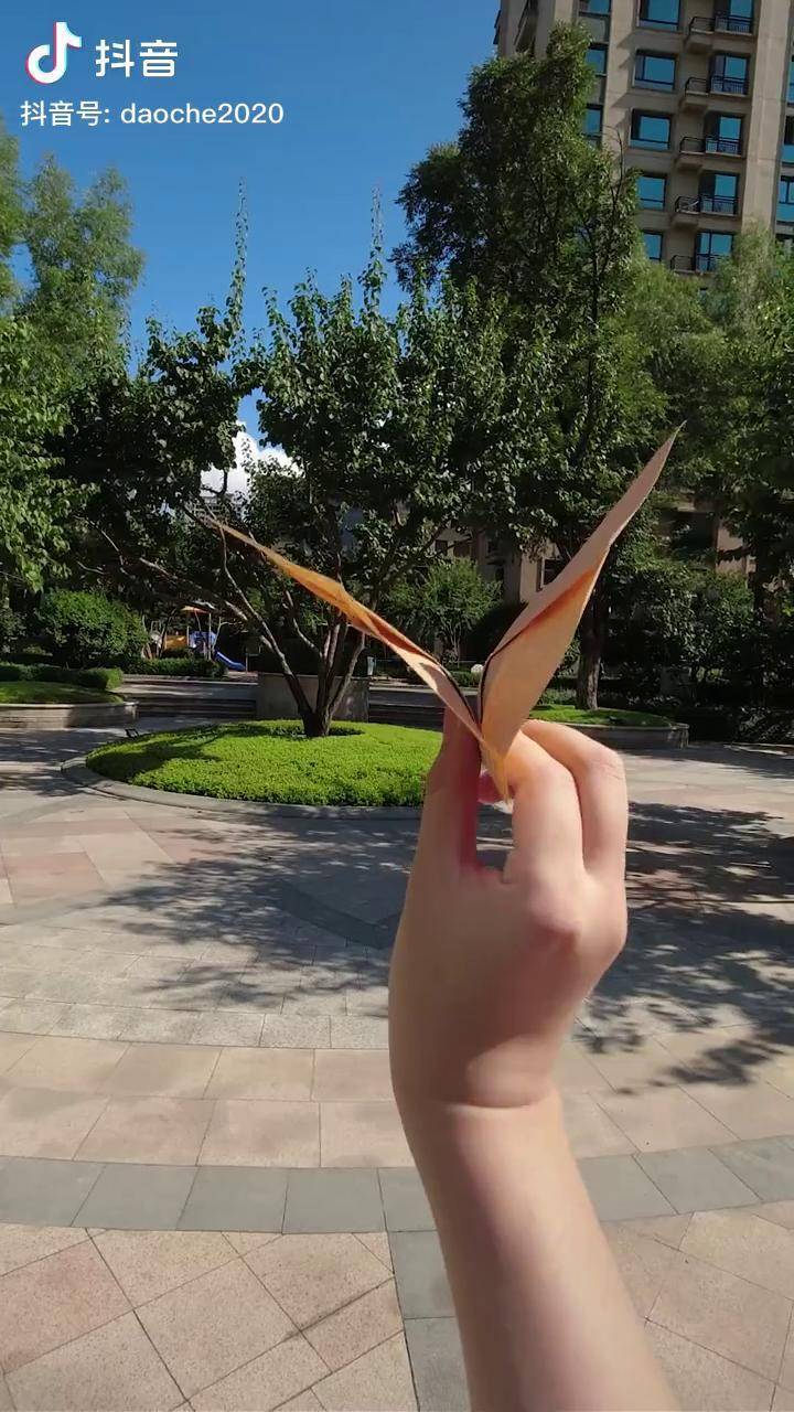 纸飞机这样才好玩火遍全网的仿生蝙蝠扑翼机绘画手工萌知计划抖音