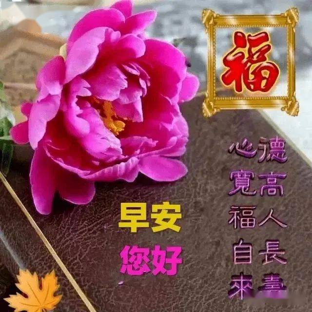 早上好漂亮圖片祝福語清晨問候早安帶字表情包圖片早上好快樂祝福語