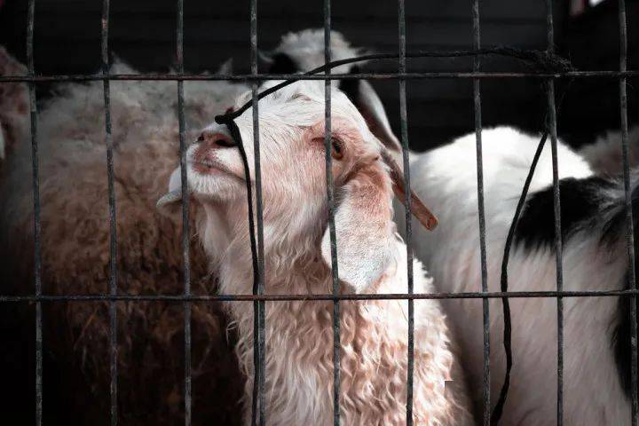 凯瑟琳|够了！别再只用“悬疑”来定义它！