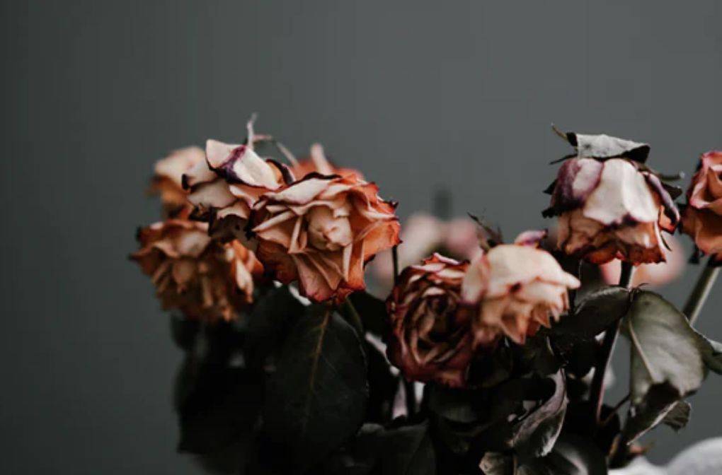 病毒|“甲乙丙丁戊”五种肝炎“性格迥异”,彻底弄懂乙肝五项指标