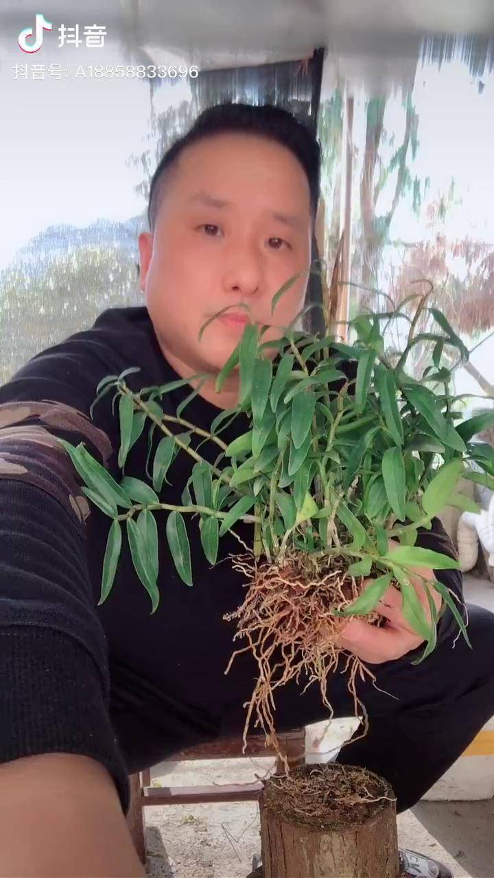 阿卫抖音=抖音阿伟表情包动态图