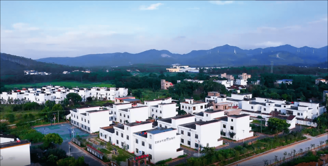 67游溪镇持续推进四小园建设焕新乡村人居环境