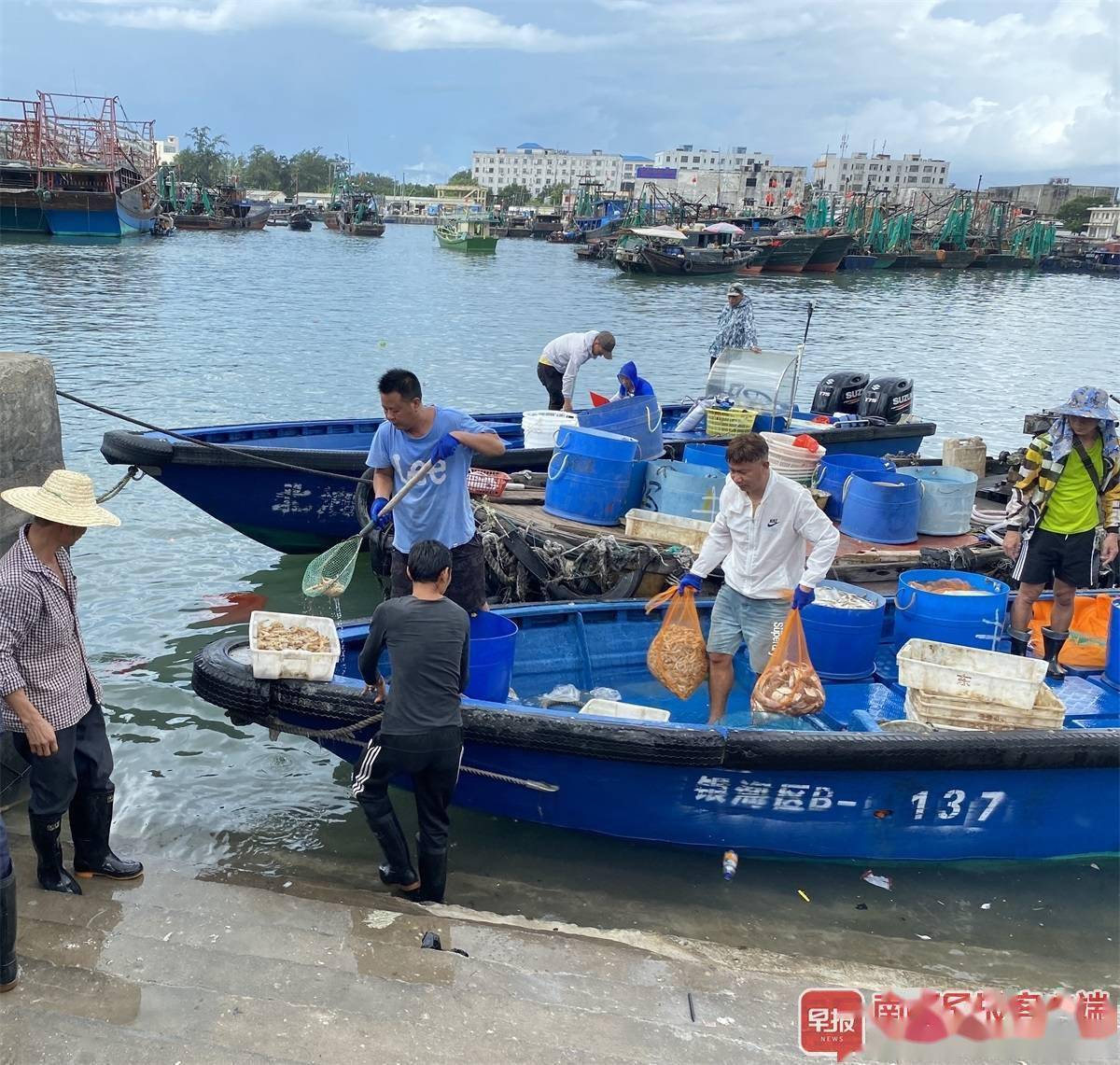 实现“海鲜自由”！广西开海首捕“开门红”，虾蟹价格降幅大