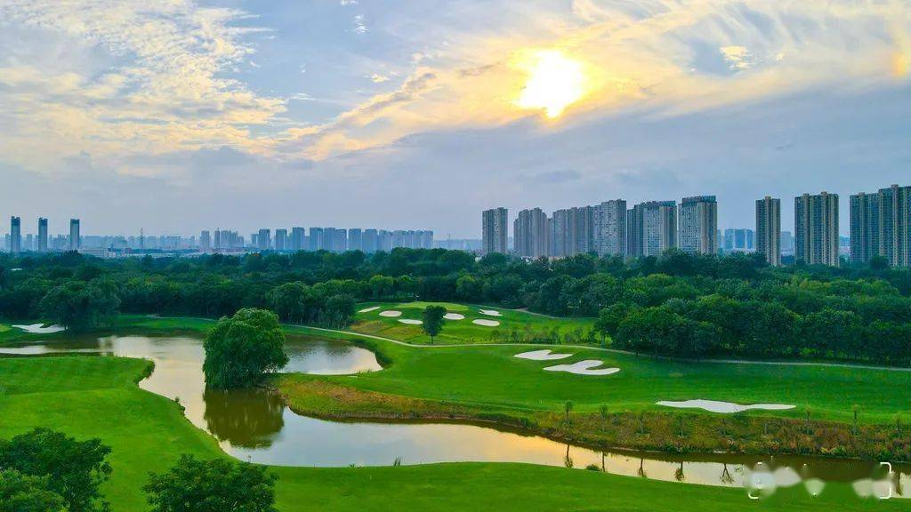 金沙湖.郑报全媒体记者 李新华 摄