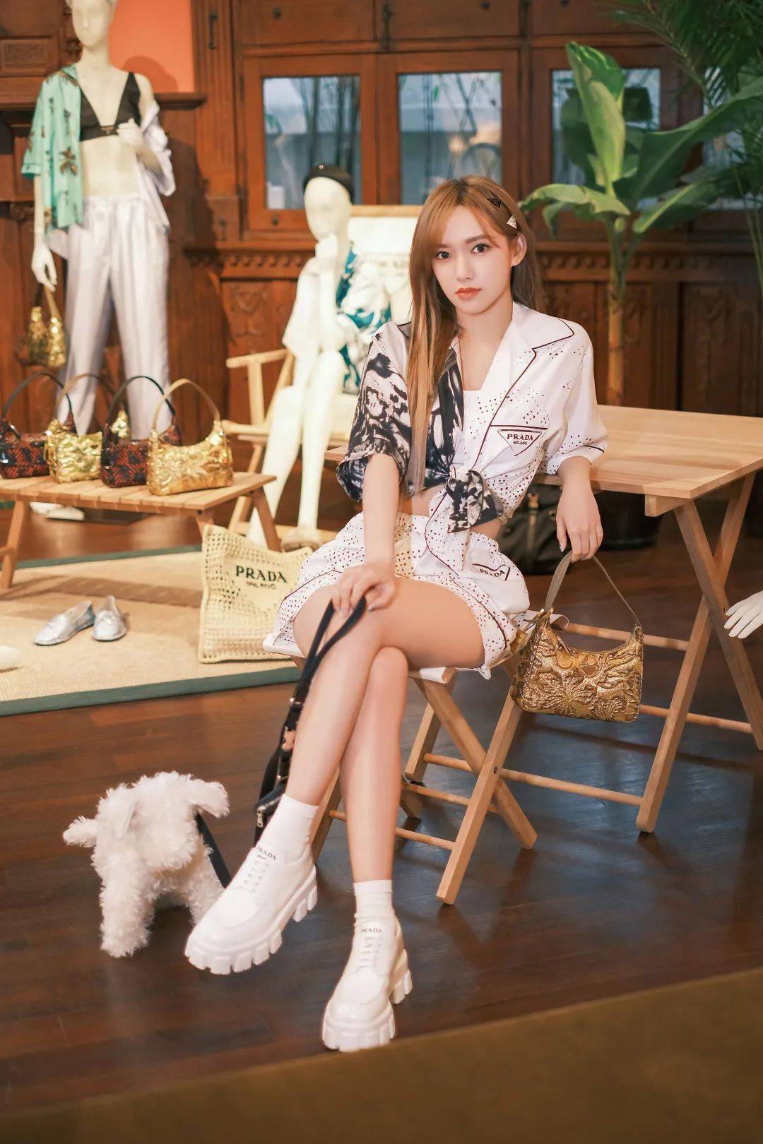 伊丽莎白·泰勒|乔晶晶于途的高甜戏，全被它抢镜了！