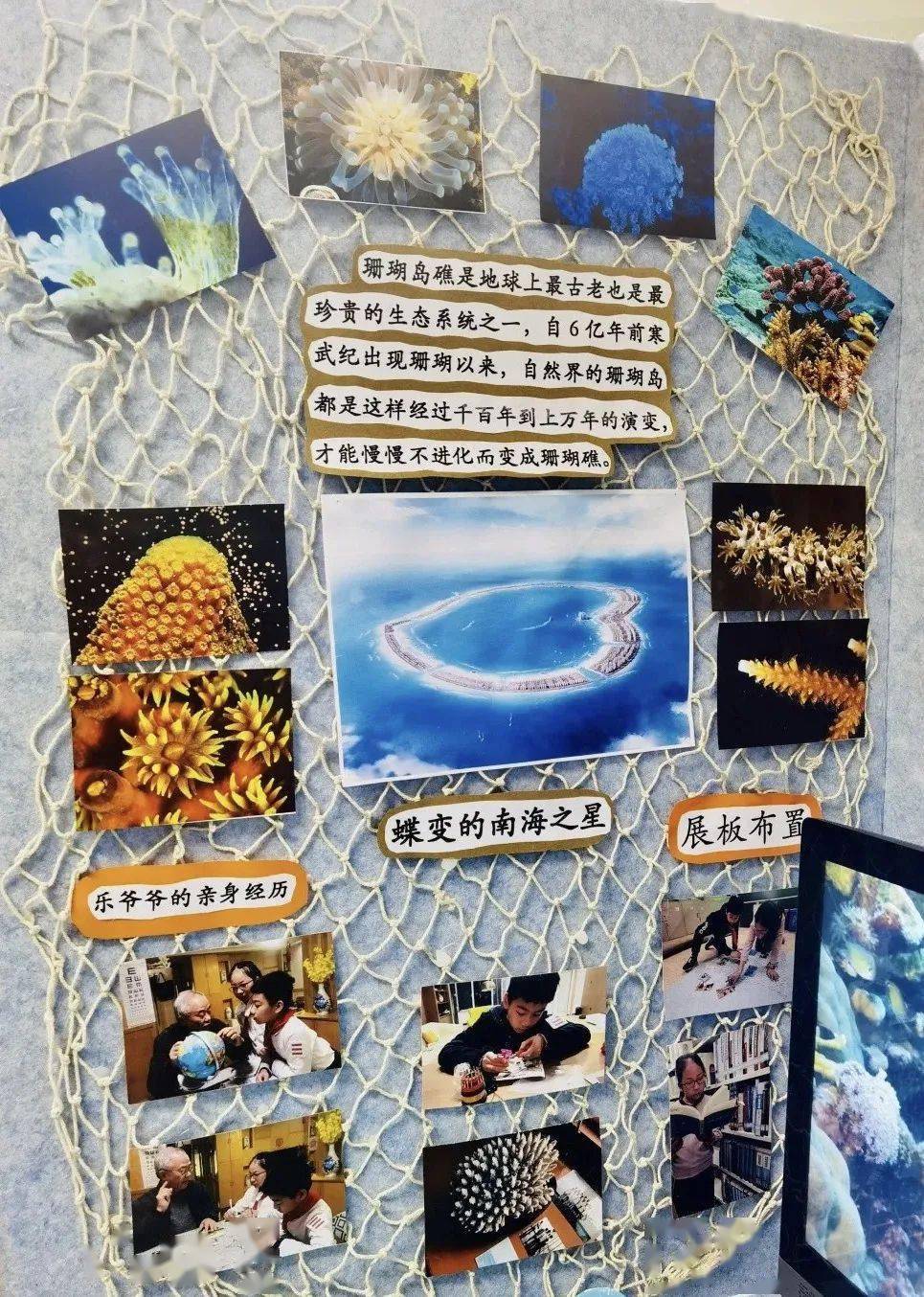 点赞!西湖伢儿在环球自然日2021总决赛中获佳绩