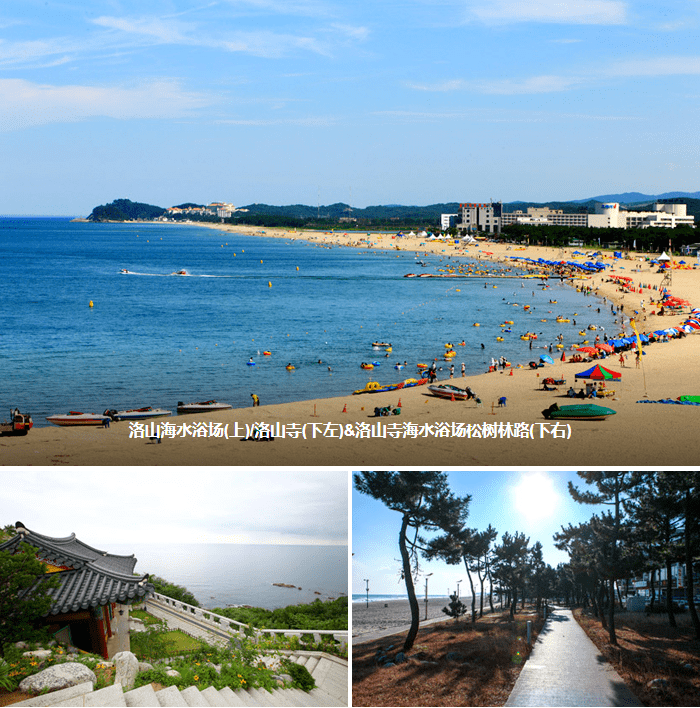 夏天的韩国清凉夏日海水浴场10选