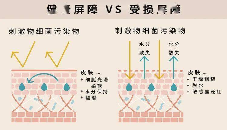 护卫兵|猛药不耐受？修护受损屏障自救指南有了！