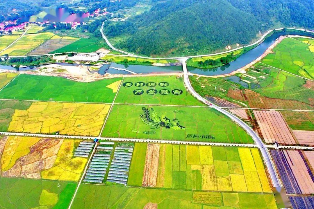 喜讯宣风镇获批全国首批天然富硒土地