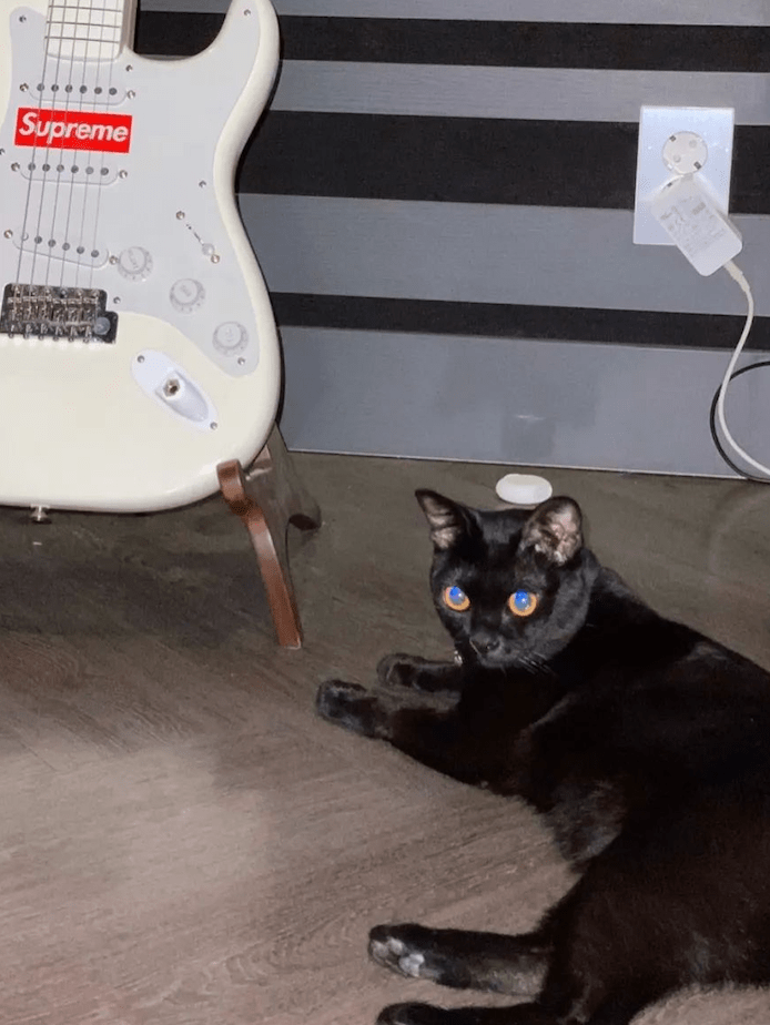 来头|这位让全网沦陷的美少女，到底什么来头？！