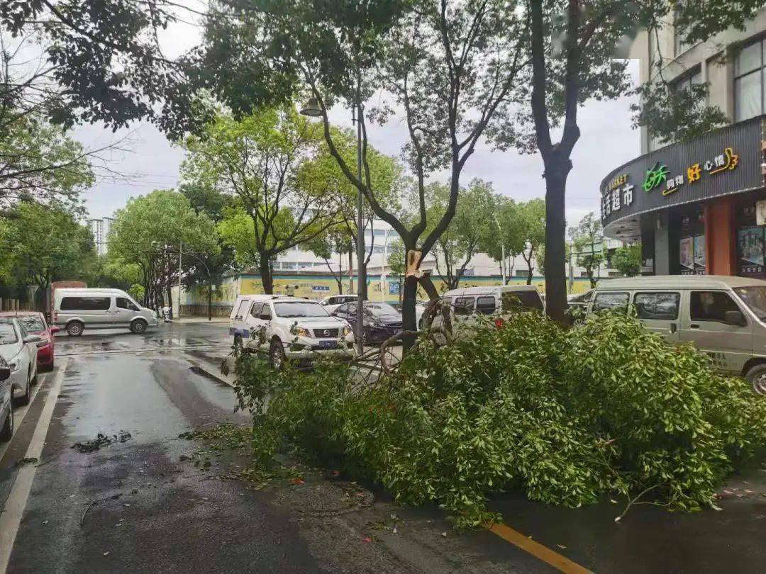 注意破坏绿化是违法行为毁绿占绿不可取