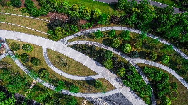 两江绿道：构建低碳新空间 打造都市慢生活