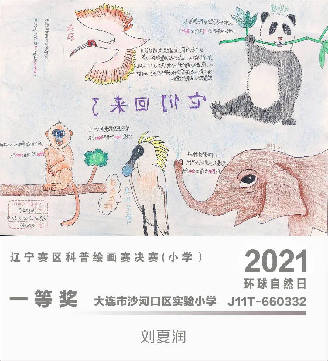 环球自然日2021辽宁赛区科普绘画赛优秀作品赏析