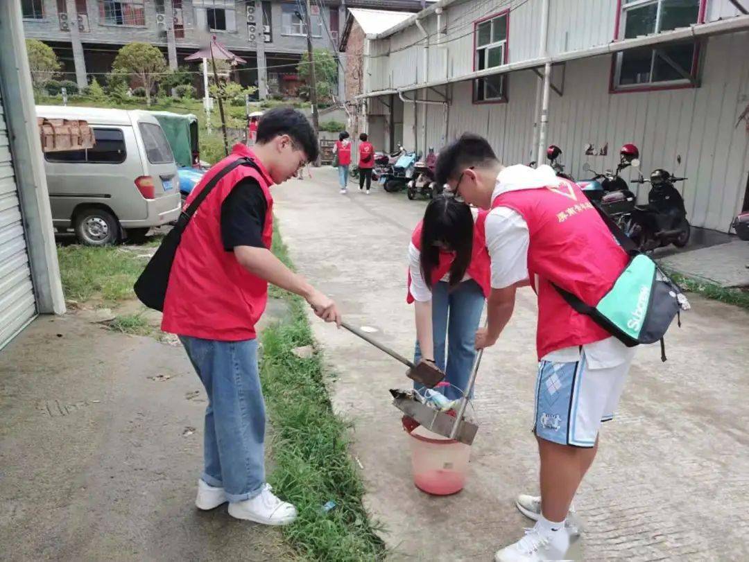 社会实践活动的照片图片