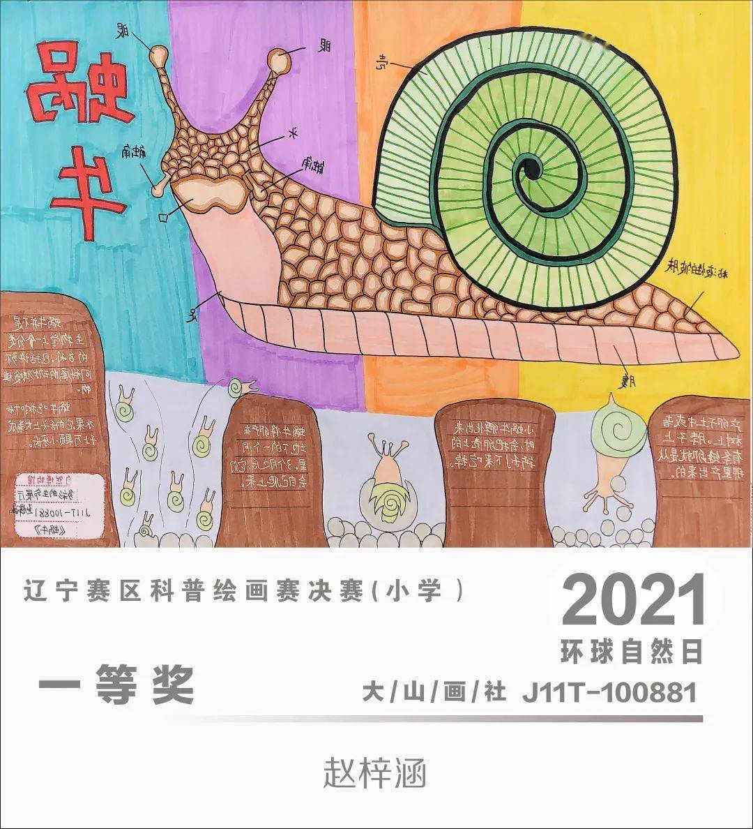 环球自然日2021辽宁赛区科普绘画赛优秀作品赏析