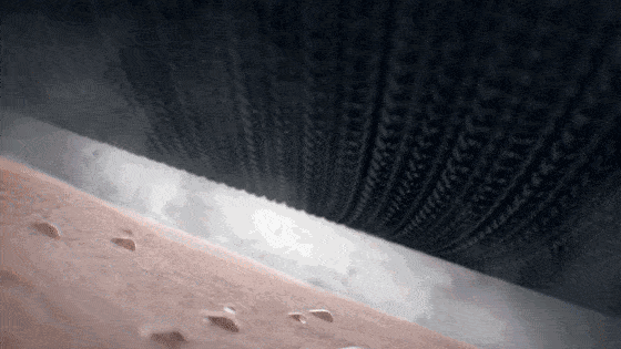 内裤|观方好物 | 49元卖了1000条的内裤，今天3条59元！