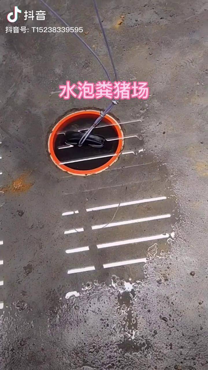 猪场水泡粪设计图片