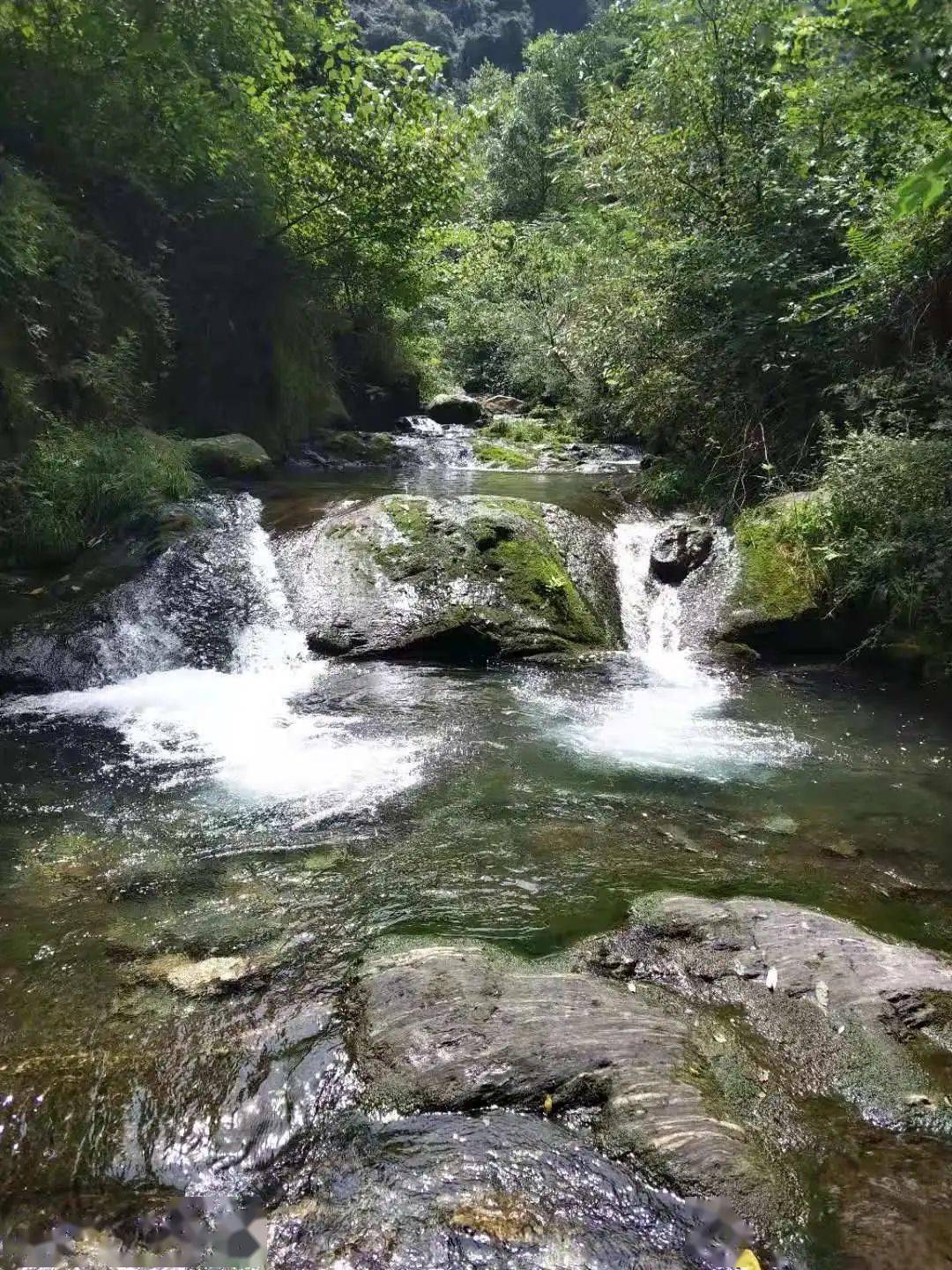 散文||秦岭七十二峪之耿峪闲坐