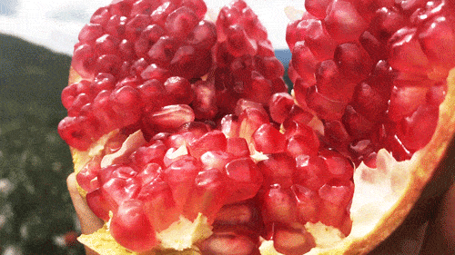 500_281gif 动态图 动图