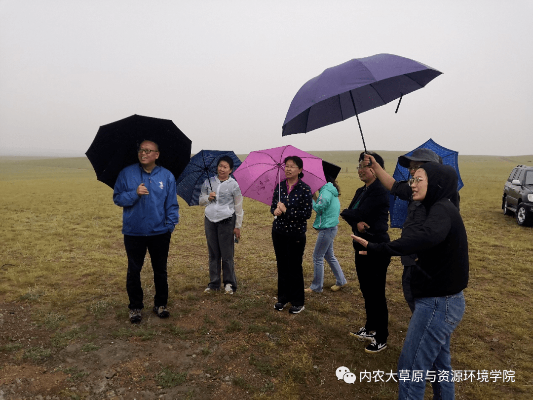 邻居也疯狂陆基塔娜图片