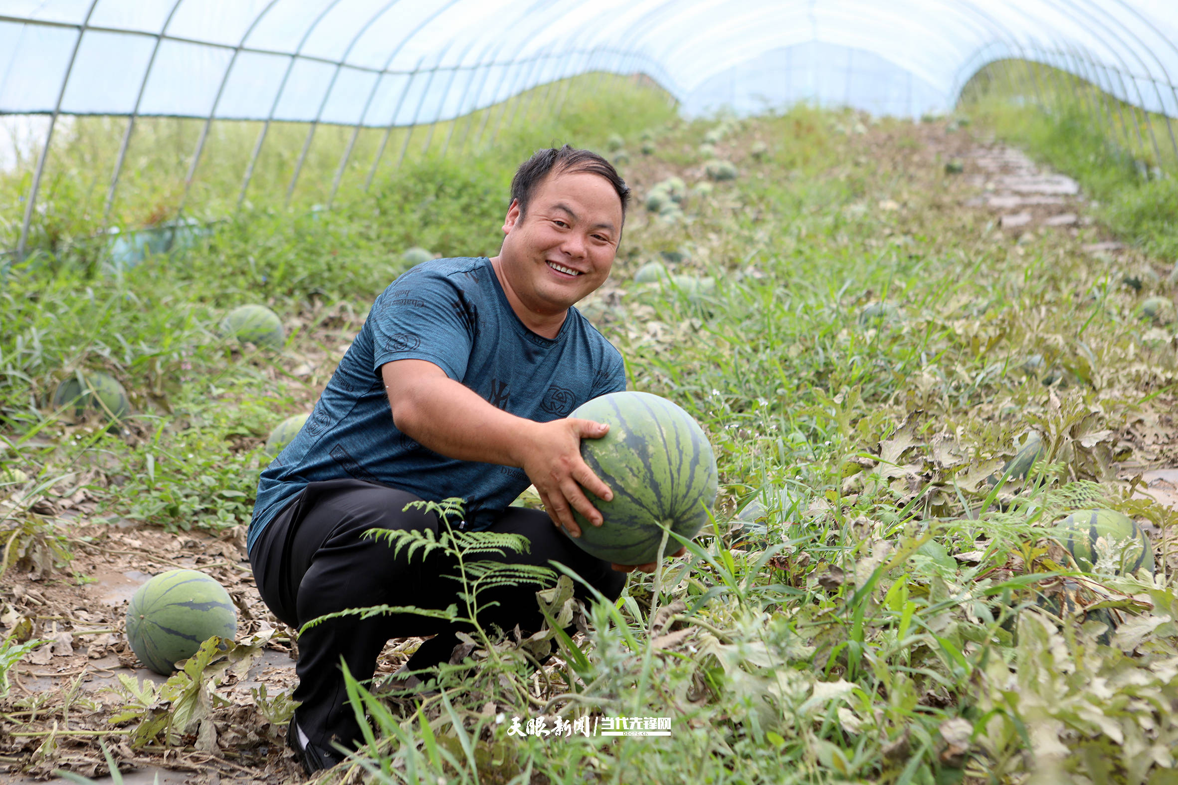 "李博士"种瓜记_李世瑶